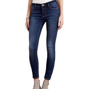 Anthropolgie Pilcro And The Letterpress Size 27 Serif Queen Bee Skinny Jeans